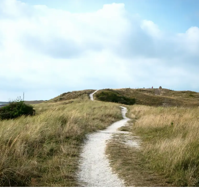 Nationaal_park_Texelse_duinen.png