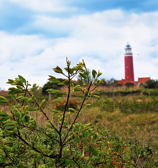 Zlapen-op-Texel_over_03.jpg